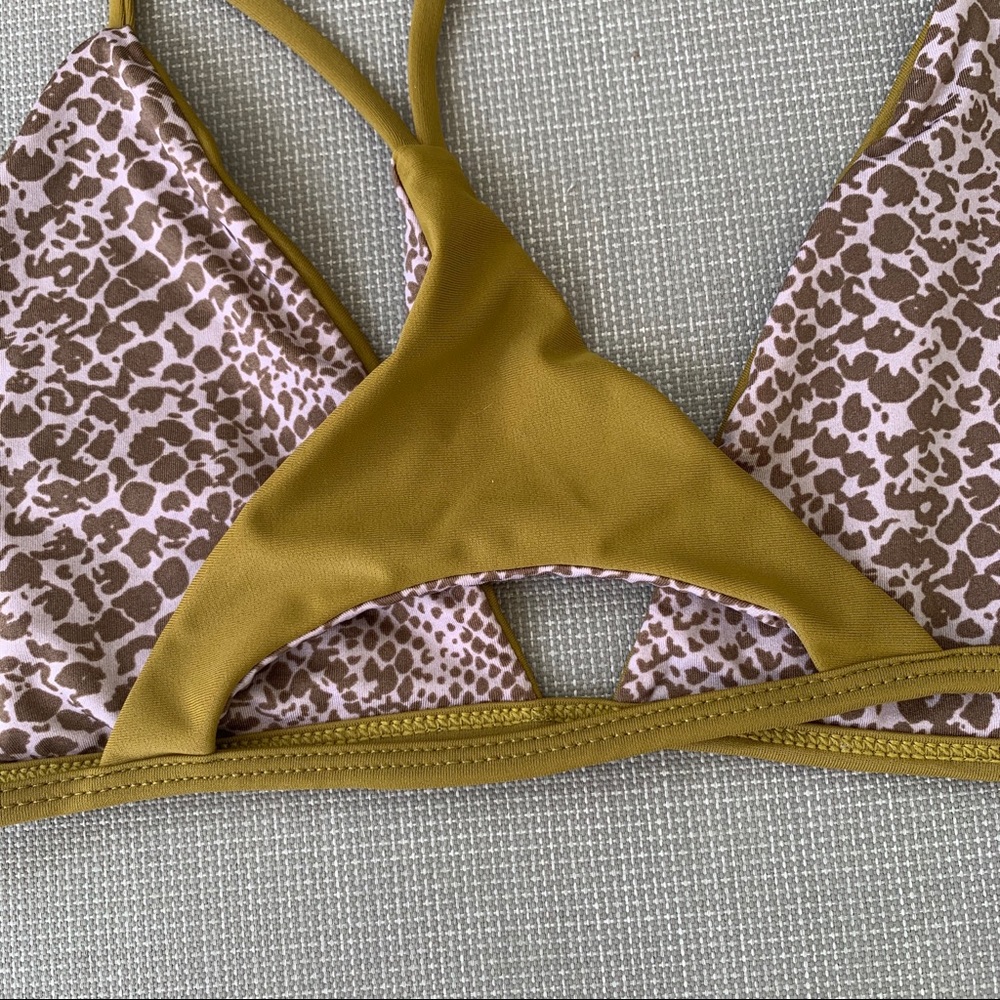 Acacia - Picture 5 of 7